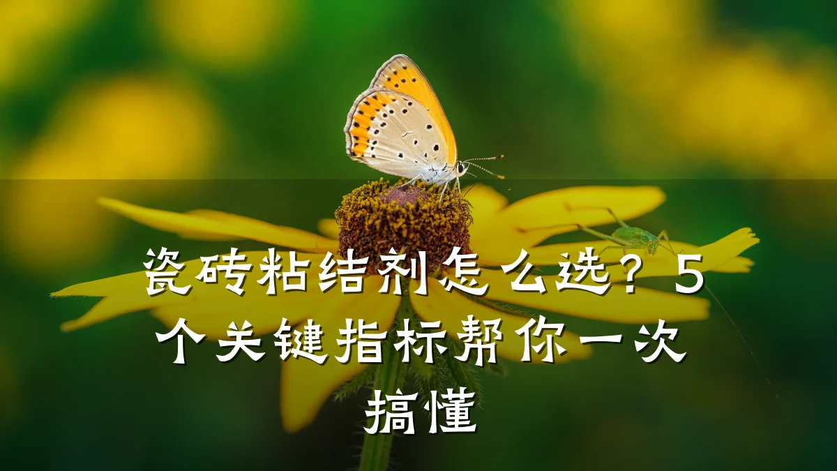 瓷砖粘结剂怎么选?5个关键指标帮你一次搞懂