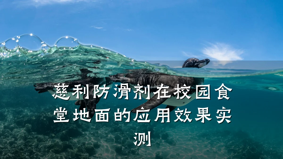 慈利防滑剂在校园食堂地面的应用效果实测