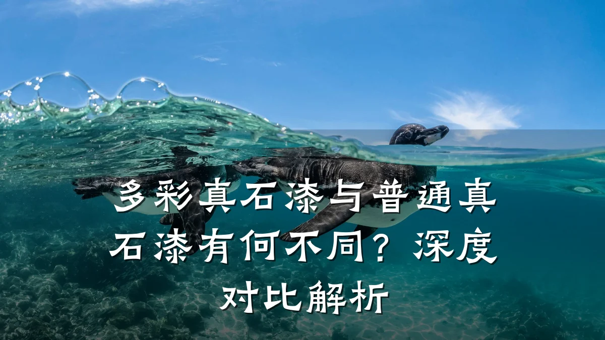 多彩真石漆与普通真石漆有何不同?深度对比解析