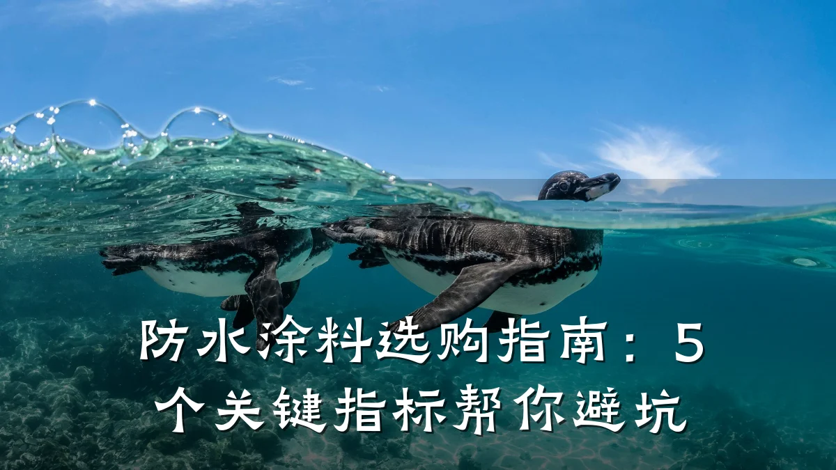防水涂料选购指南：5个关键指标帮你避坑