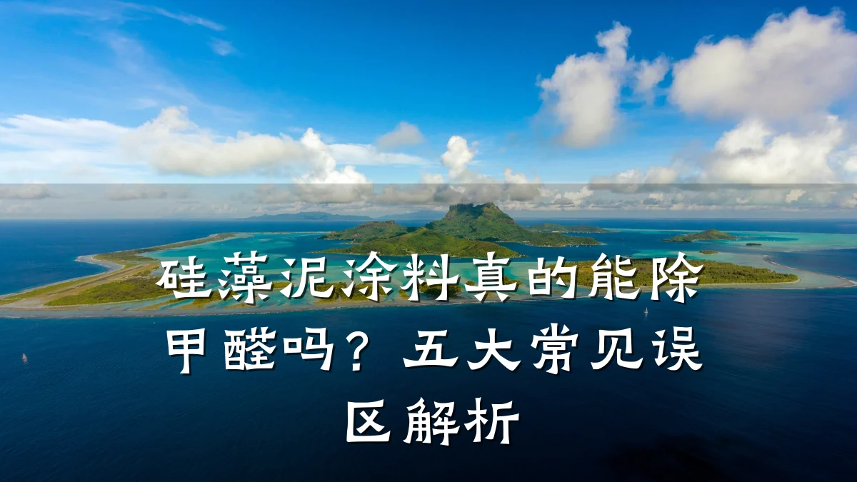 硅藻泥涂料真的能除甲醛吗?五大常见误区解析