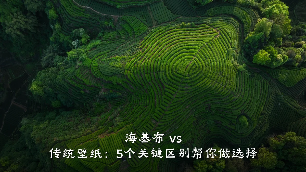 海基布 vs 传统壁纸:5个关键区别帮你做选择