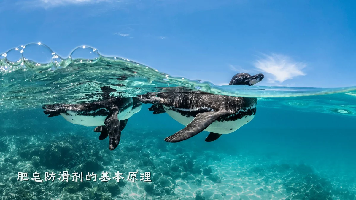 肥皂防滑剂的基本原理