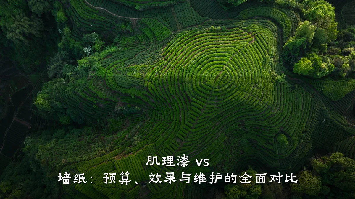 肌理漆 vs 墙纸:预算、效果与维护的全面对比