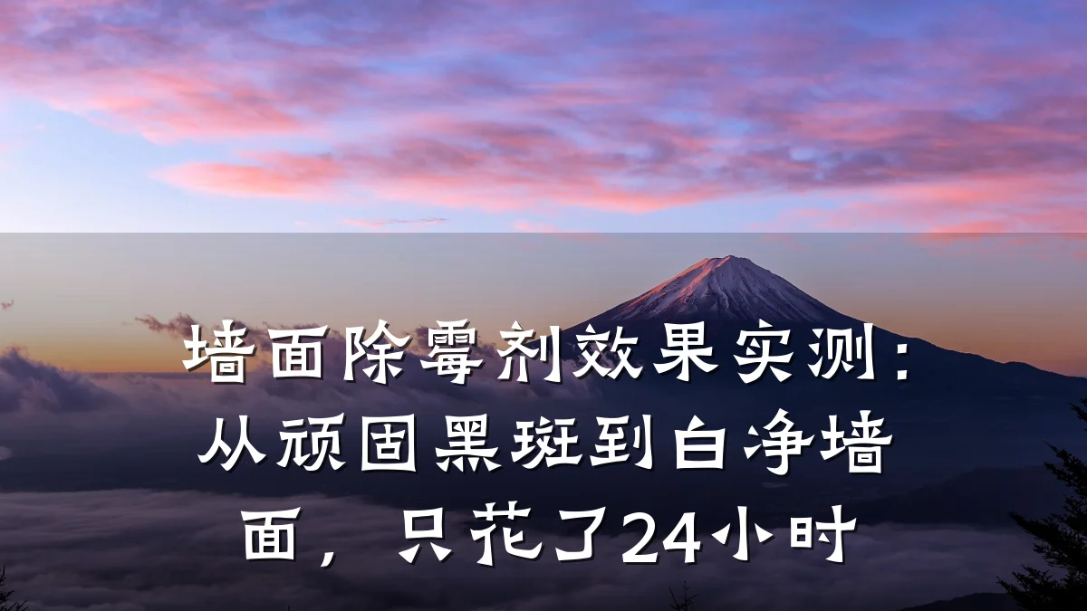 墙面除霉剂效果实测:从顽固黑斑到白净墙面,只花了24小时