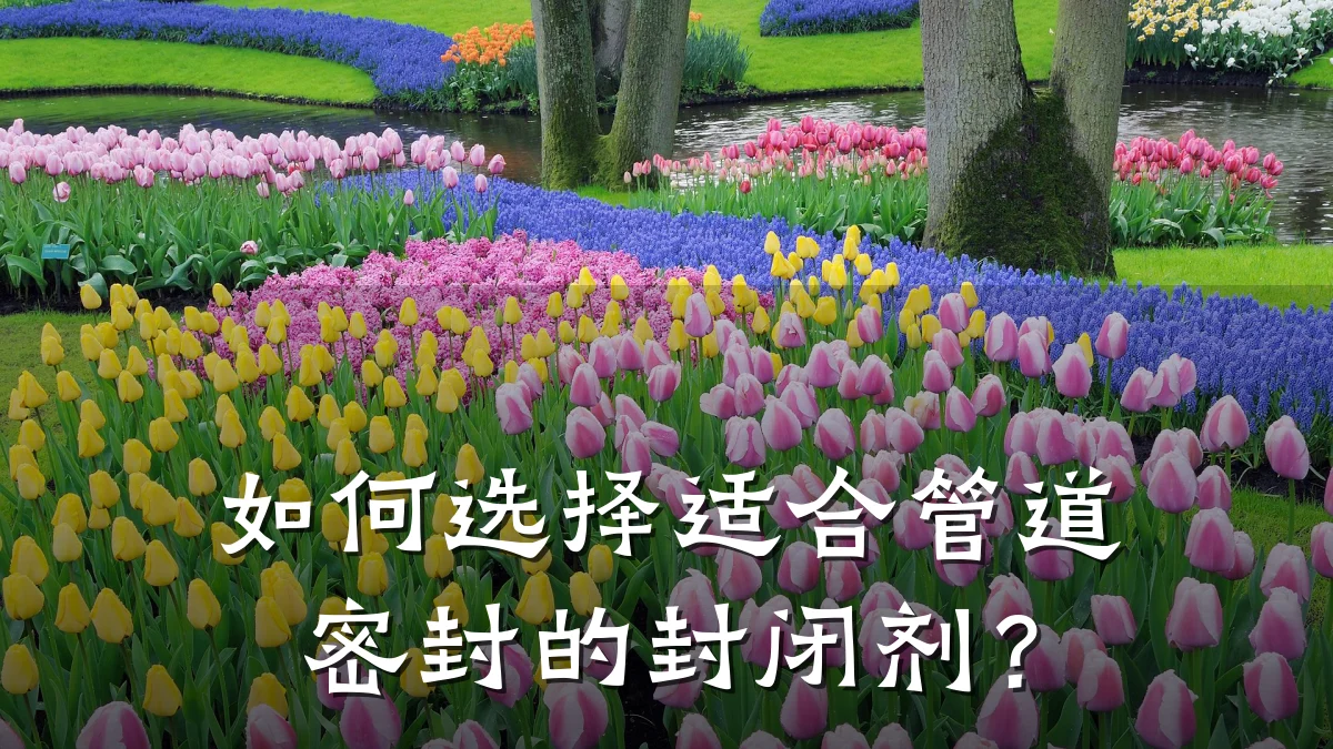 如何选择适合管道密封的封闭剂?