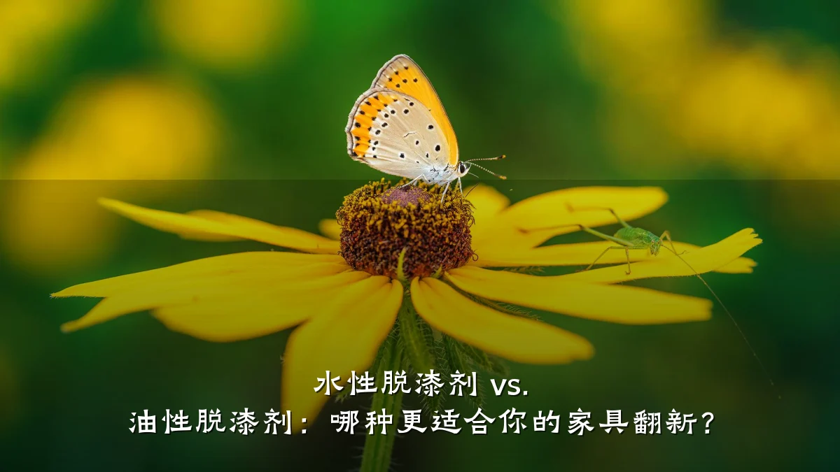 水性脱漆剂 vs. 油性脱漆剂:哪种更适合你的家具翻新?