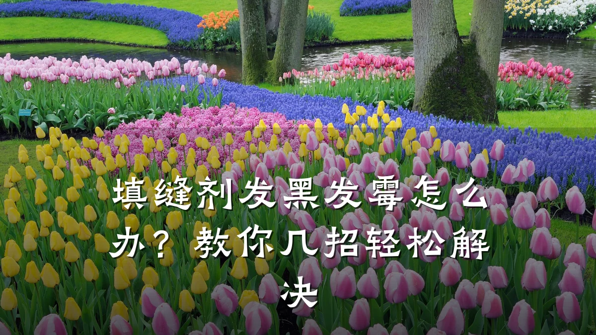 填缝剂发黑发霉怎么办？教你几招轻松解决