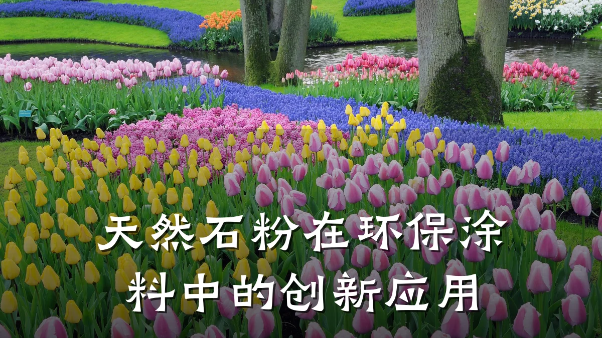 天然石粉在环保涂料中的创新应用
