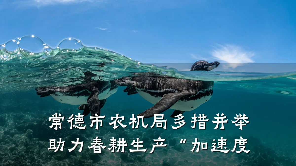 常德市农机局多措并举 助力春耕生产“加速度