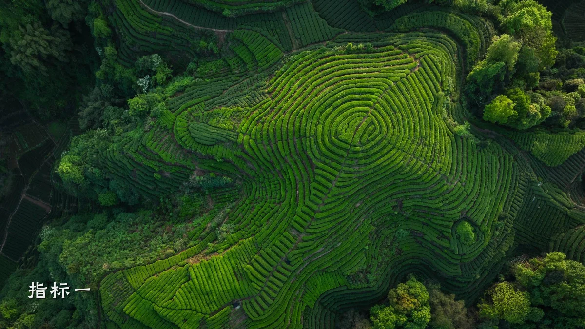 指标一