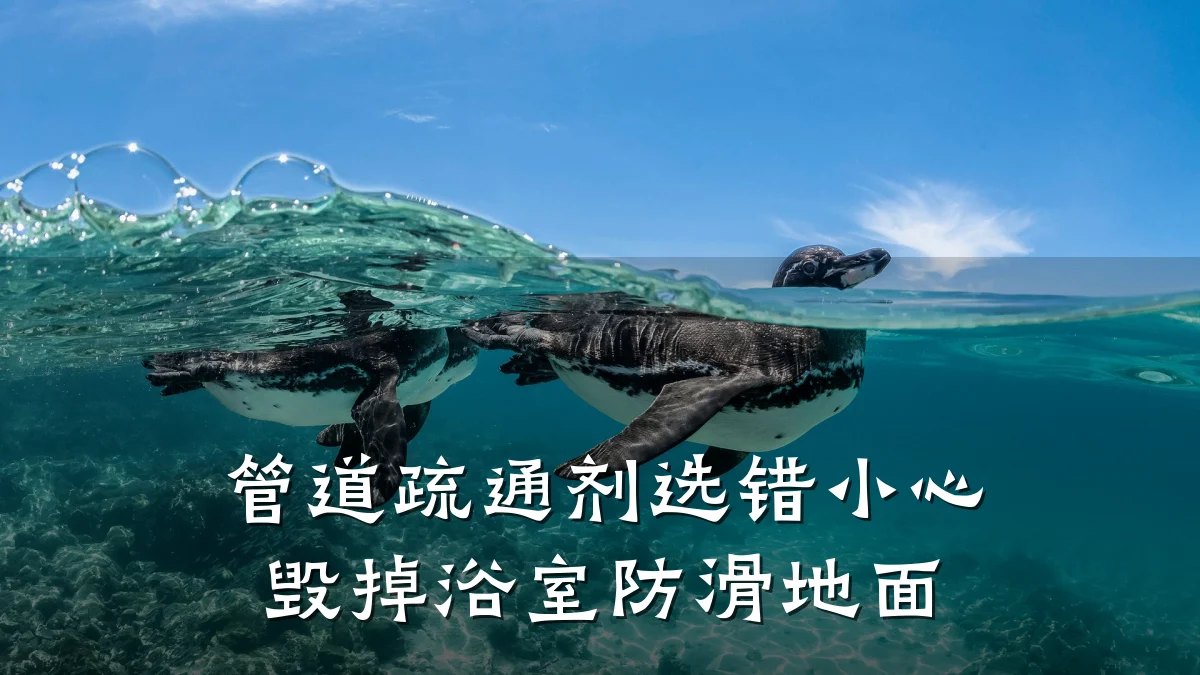 管道疏通剂选错小心毁掉浴室防滑地面