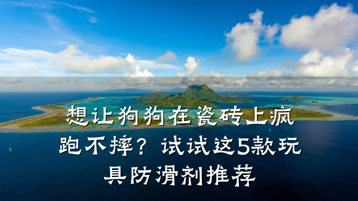 想让狗狗在瓷砖上疯跑不摔?试试这5款玩具防滑剂推荐