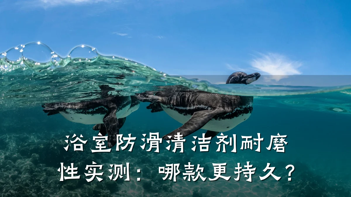浴室防滑清洁剂耐磨性实测:哪款更持久?