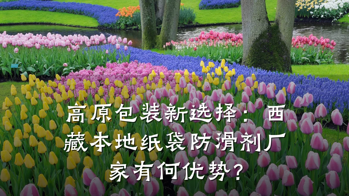 高原包装新选择:西藏本地纸袋防滑剂厂家有何优势?