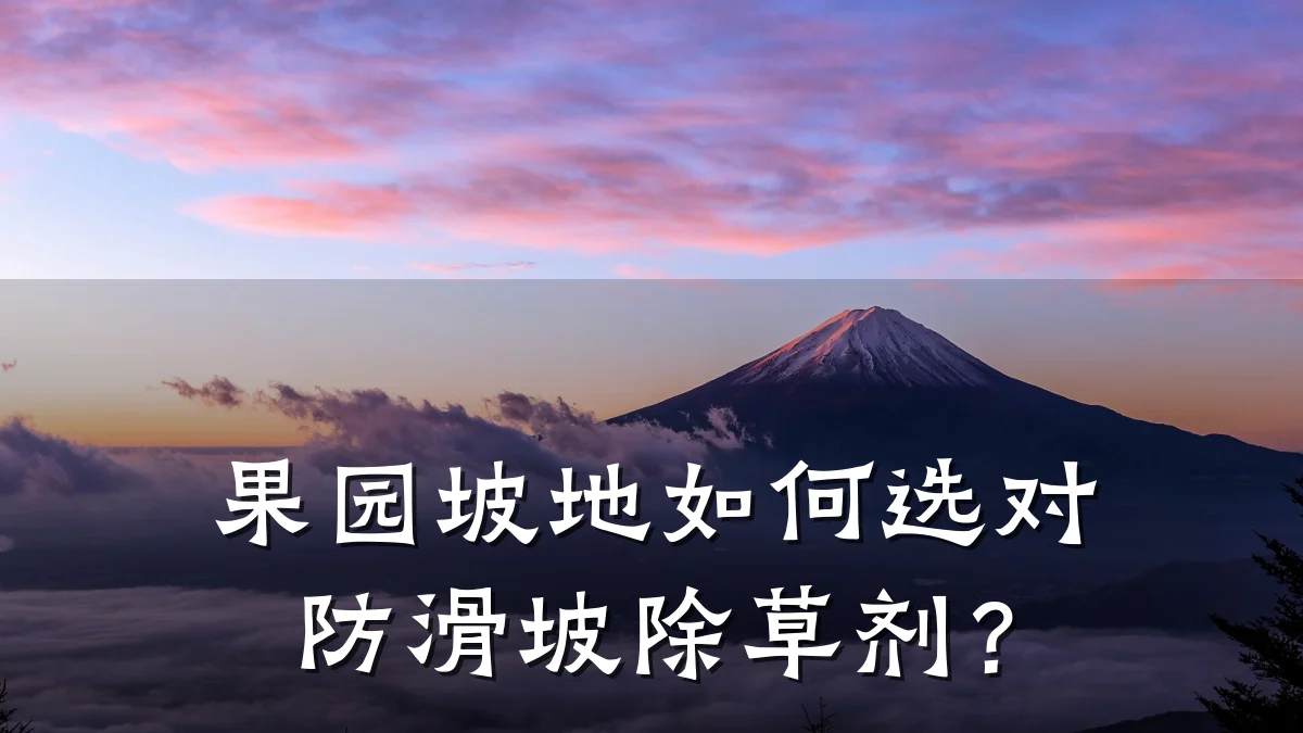 果园坡地如何选对防滑坡除草剂?