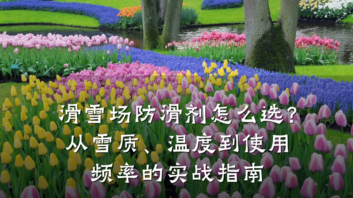 滑雪场防滑剂怎么选?从雪质、温度到使用频率的实战指南