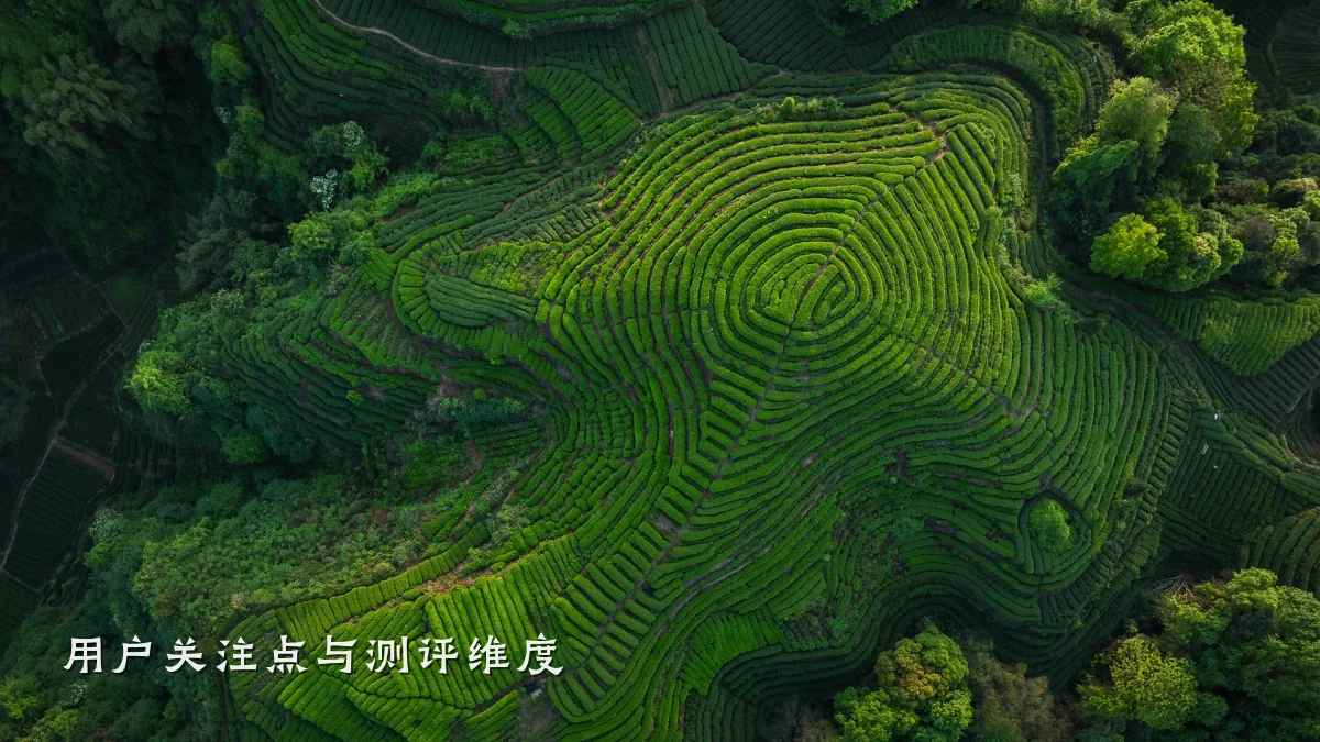 用户关注点与测评维度