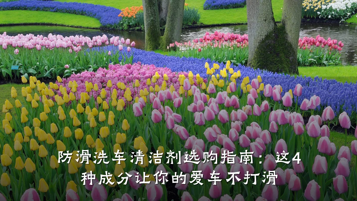 防滑洗车清洁剂选购指南:这4 种成分让你的爱车不打滑