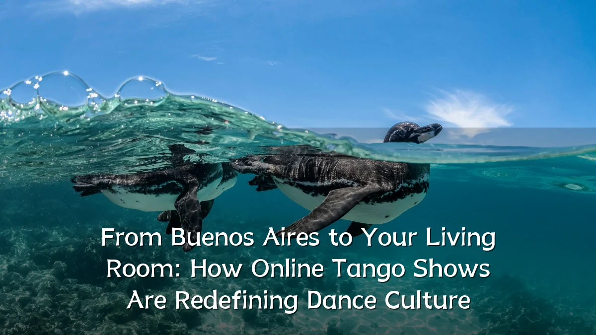 From Buenos Aires to Your Living Room: How Online Tango Shows Are Redefining Dance Culture