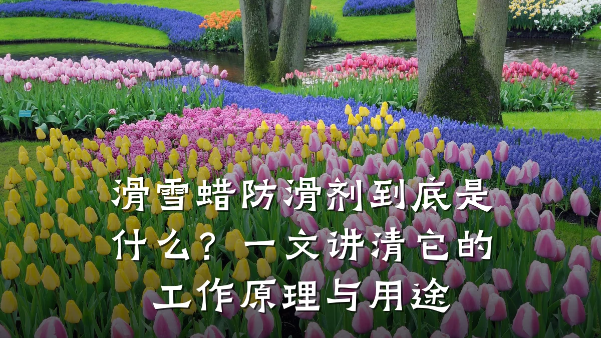 滑雪蜡防滑剂到底是什么?一文讲清它的工作原理与用途