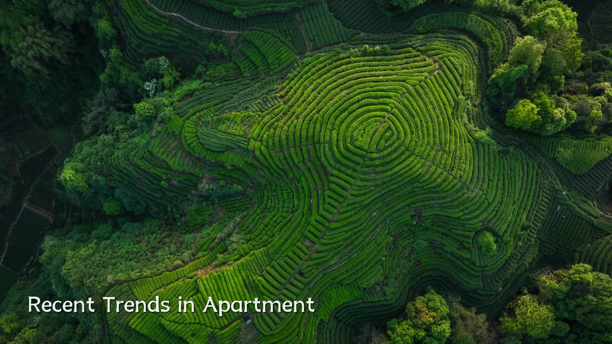 Recent Trends in Apartment