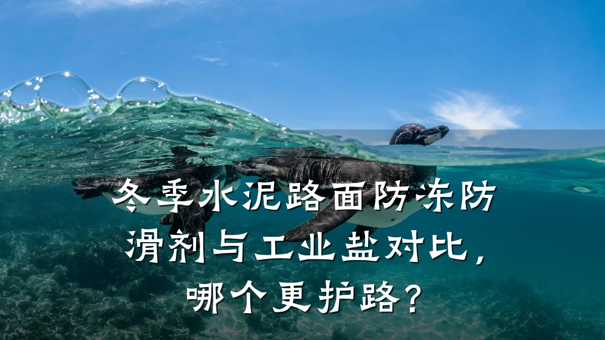 冬季水泥路面防冻防滑剂与工业盐对比,哪个更护路?