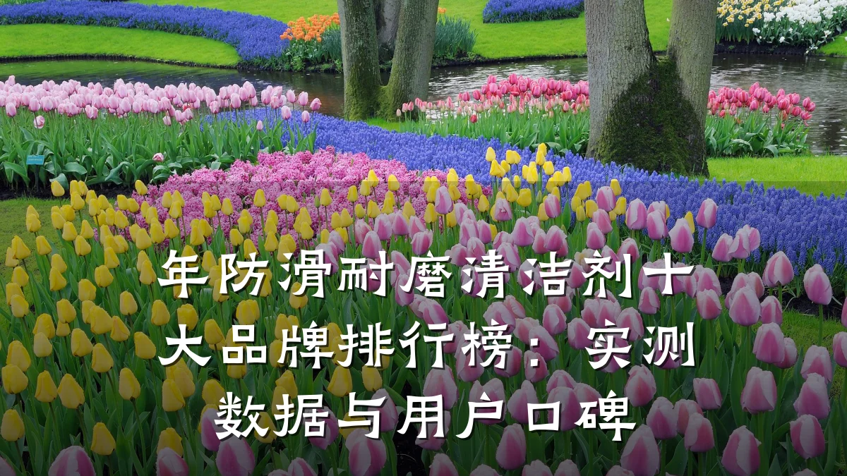 年防滑耐磨清洁剂十大品牌排行榜:实测数据与用户口碑