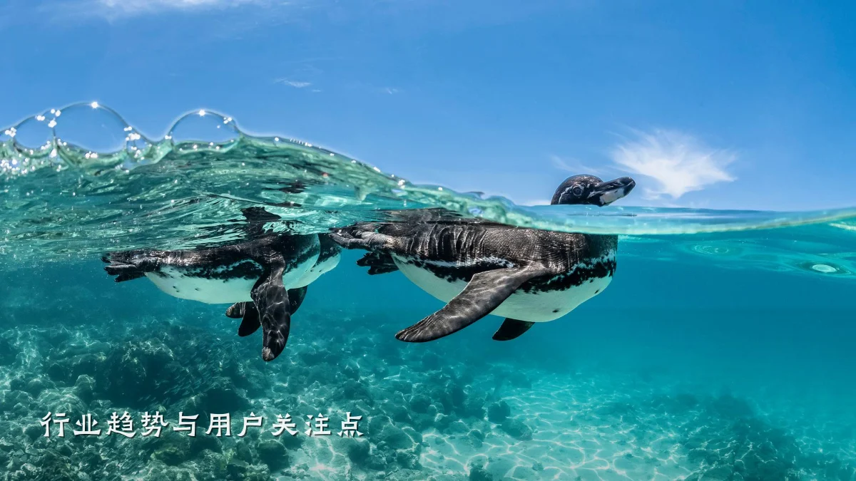 行业趋势与用户关注点