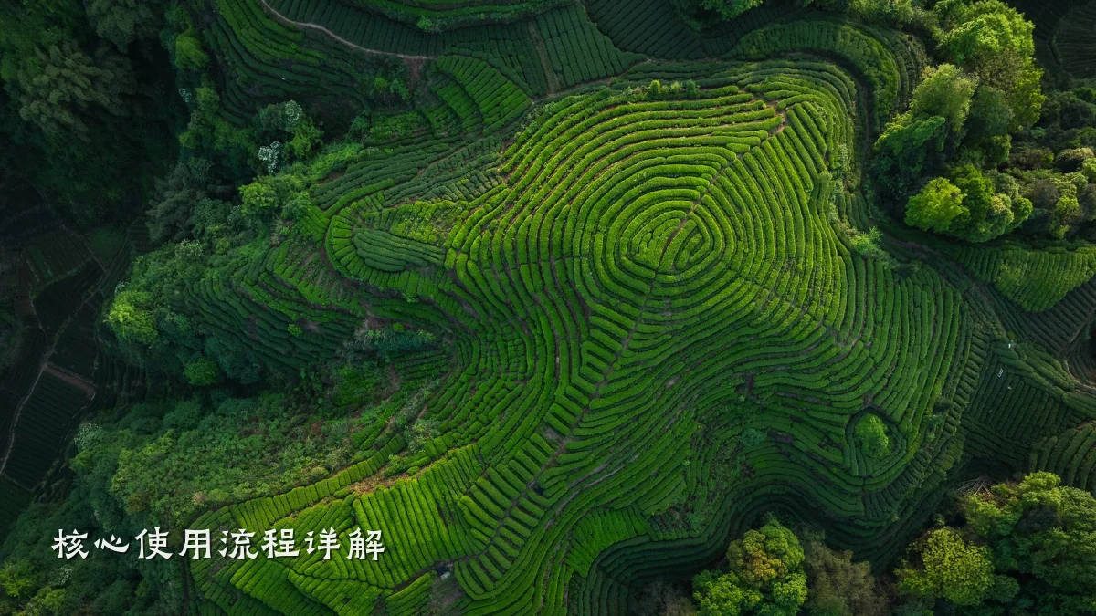 核心使用流程详解