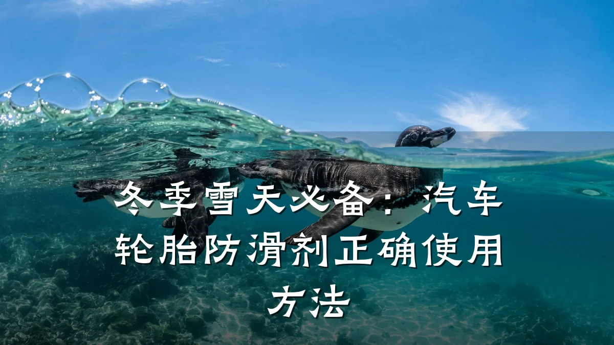 冬季雪天必备:汽车轮胎防滑剂正确使用方法