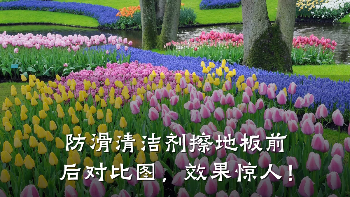 防滑清洁剂擦地板前后对比图,效果惊人!