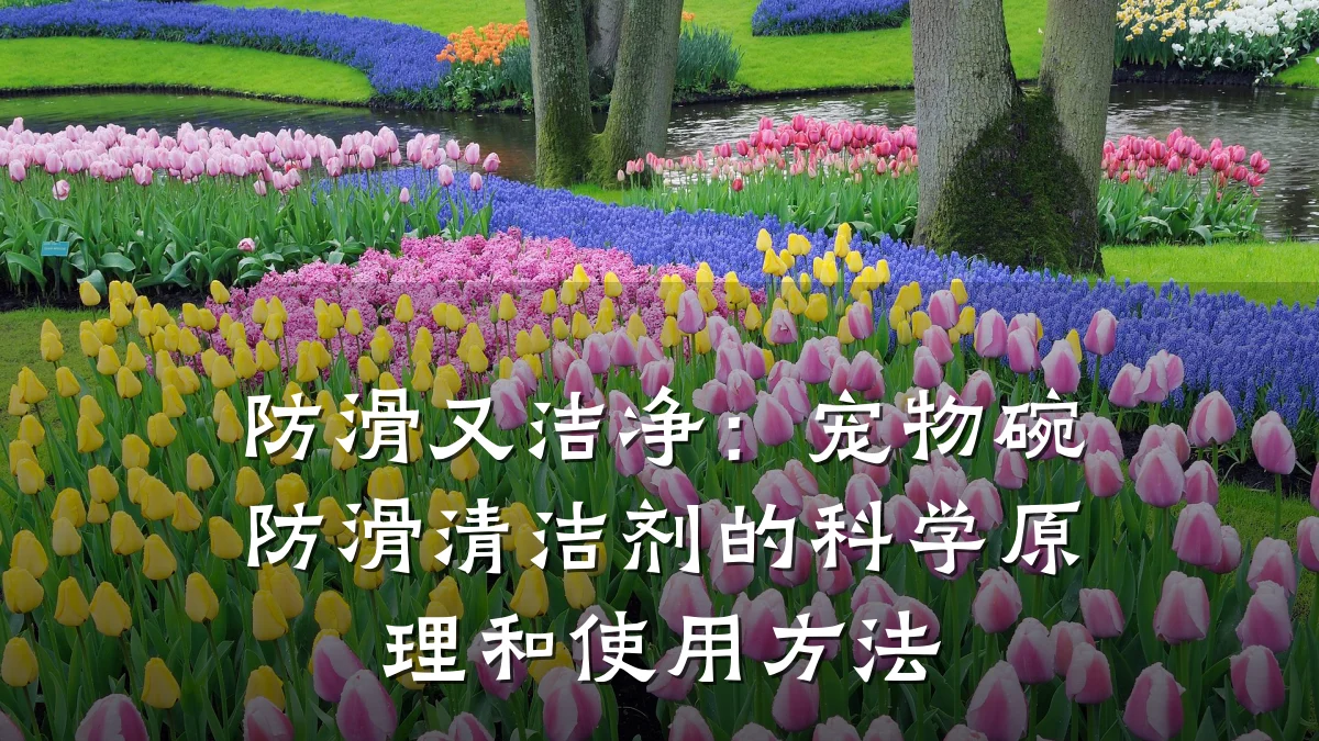 防滑又洁净:宠物碗防滑清洁剂的科学原理和使用方法