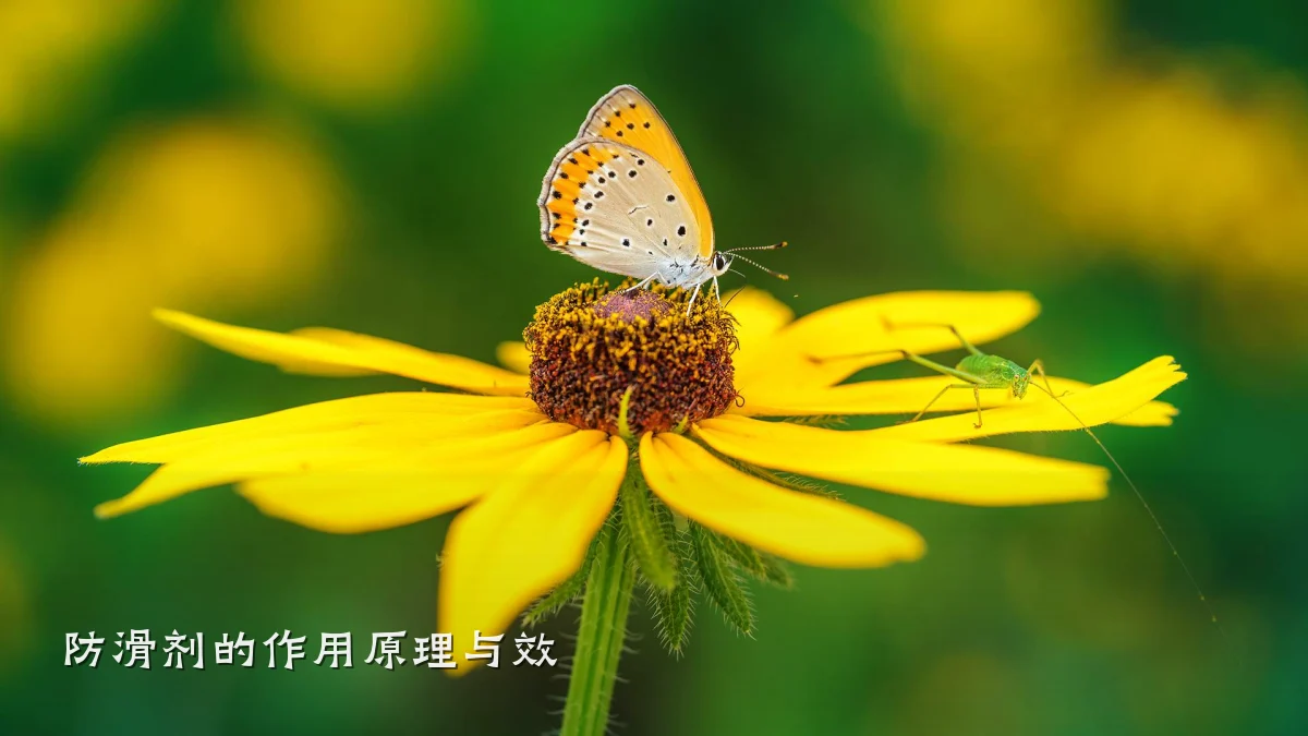 防滑剂的作用原理与效