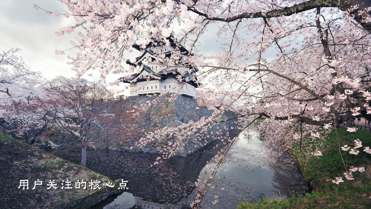 用户关注的核心点