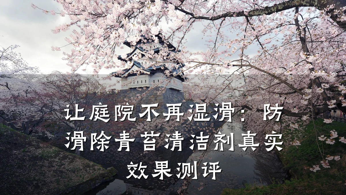 让庭院不再湿滑：防滑除青苔清洁剂真实效果测评
