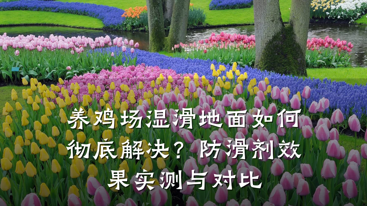 养鸡场湿滑地面如何彻底解决?防滑剂效果实测与对比