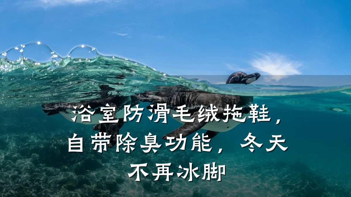 浴室防滑毛绒拖鞋,自带除臭功能,冬天不再冰脚